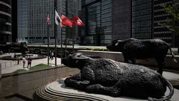 Asian markets rise with Wall St on lower rate hopes