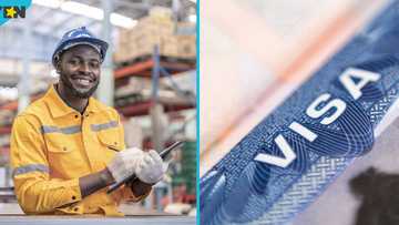 Malta introduces new mandatory work visa rules for Ghanaians and other foreigners