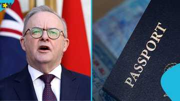 Australian government lists 3 categories of people legally allowed to help with visa applications