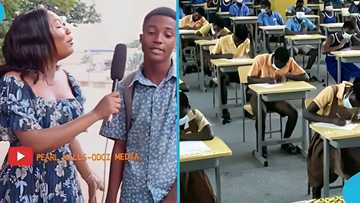 JHS Boy forgets name of exam subject just moments after finishing paper