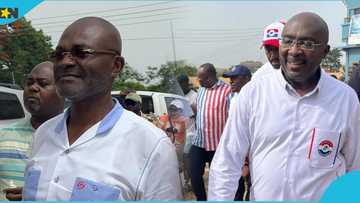 Kennedy Agyapong pulls out of Bawumia's thank you tour, calls out Abronye, video trends