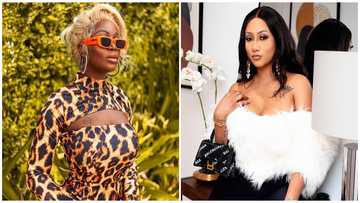 Nina Ricchie says Hajia4reall's would not be arrested for alleged fraud if there were jobs in Ghana