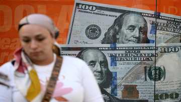 US dollar dominance not under threat, despite risks: Fed official