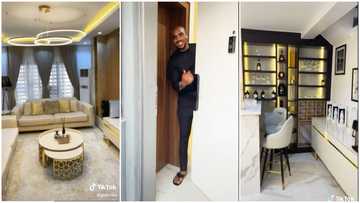 Man flaunts plush mansion on social media and shows its gorgeous interior