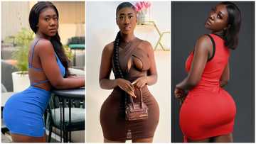 Hips don't lie: Tik Tok star Hajia Bintu motivates fans with 'grass to grace' photos from her teens, they gush over her shape