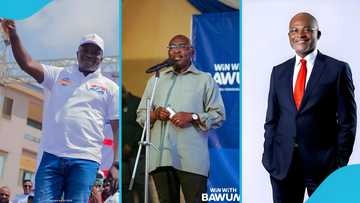 NPP loyalist offers in-depth analysis of party’s 2028 prospects