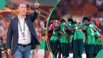 Peseiro no longer with Super Eagles coach after losing 2023 AFCON final to Côte d'Ivoire, peeps react