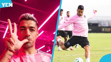 Inter Miami honours Luis Suarez with major decision