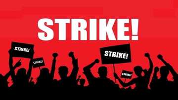 CETAG declares strike over government's failure to resolve service conditions