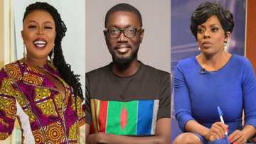 “Afia Schwar went overboard” - Ameyaw Debrah speaks on Schwar’s attack on Nana Aba Anamoah