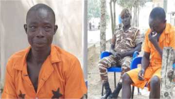 Poor watchman jailed 8 years in tears as Good Samaritan pays court fine for his release