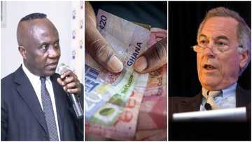 IEA economist backs Prof Hanke’s currency board proposal to save falling cedi