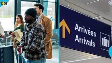 New Zealand lists top 10 countries whose citizens were deported in 2025/2026