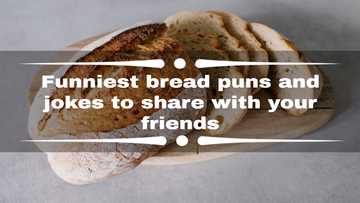 50+ funniest bread puns and jokes to share with your friends