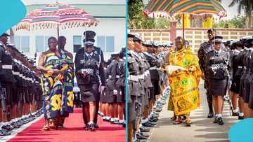 List of impressive parades held in honour of Asantehene Otumfuo Osei Tutu II turns heads