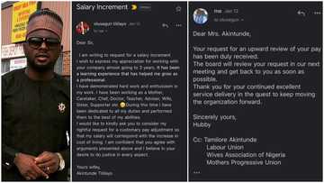 Dear sir, I want salary increment, husband shares photo of email proposal wife sent him to ask for more