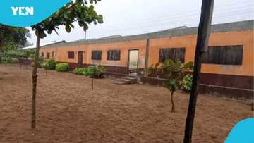 Sepenukope school without roof as pupils continue classes under trees