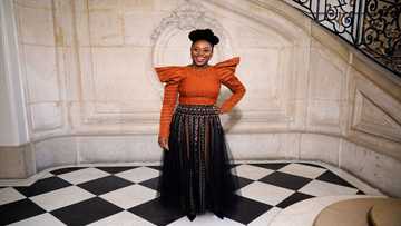 Nigerian writer Chimamanda Ngozi Adichie bio, family, controversy, books and facts