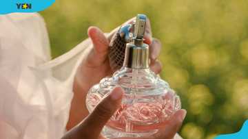 Top 9 types of scents: A guide to perfume fragrance and scents