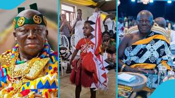 Adorable little boy who welcomed Asantehene to Cape Coast breaks silence: "Otumfuo is my friend"