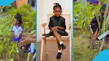 Medikal and Fella's daughter Island plants trees in Yvonne Nelson's school, adorable video melts hearts
