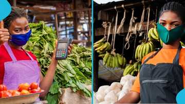 Ghanaian man sparks reactions with 3 business ideas that reportedly earn over GH₵100 daily