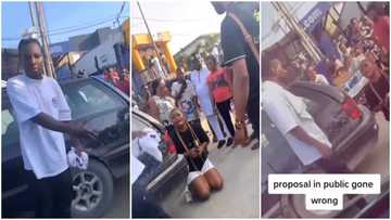 "She disgraced herself": Nigerian lady sheds tears as boyfriend rejects her public proposal in viral video