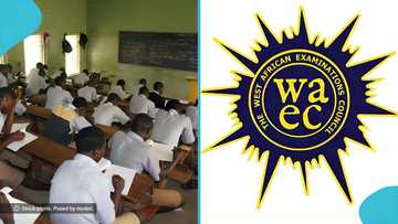 WAEC cancels 8,295 WASSCE 2026 results over exam irregularities