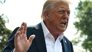 Impact of US tariffs varies across European Union