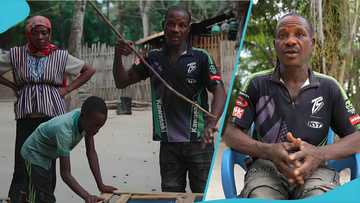 Popular snake venom supplier speaks on job, advises against fear of reptiles, "They're friendly"