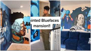 Man paints the walls of American Rapper Blueface's mansion with impressive designs