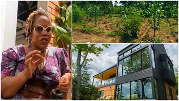 A woman relocates to Ghana from America and builds a house with a community farm where people can get free food