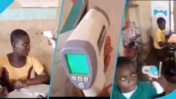 Primary students in Ghana use real thermometer to check temperature, video warms hearts on social media