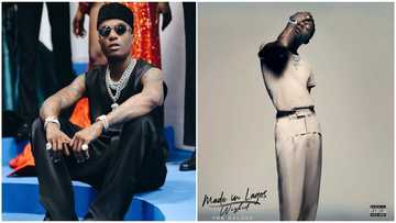Wizkid makes history as essence becomes most ‘Shazamed’ song in the US, congratulatory messages pour in
