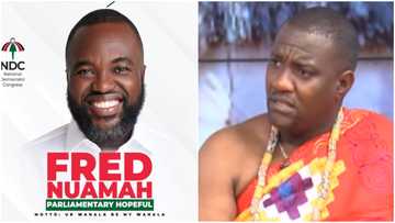 NDC primaries: Dumelo denies claims he blessed Nuamah to contest for Ayawaso West Wuogon area