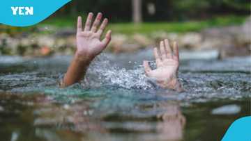 Tears as five die after attempt to save struggling swimmer fails