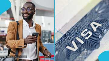Denmark names visa-free entry for citizens of 9 countries, sets 1 condition