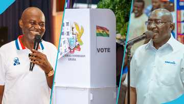 NPP delegates vote in high-stakes presidential primary ahead of 2028 election