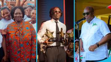 2024 Ghana Elections: Stonebwoy eulogises Mahama and his vice with a powerful poem, peeps react