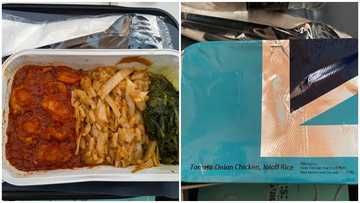 Young lady shares photos of bizarre looking jollof rice she was served by British Airways