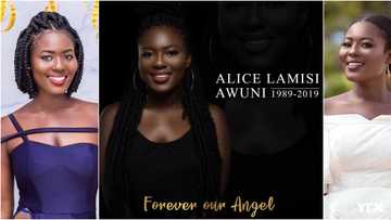Heartbreak as beautiful Ghanaian makeup artist dies of cancer