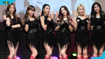 Meet all the MOMOLAND members and everything to know about the K-pop group