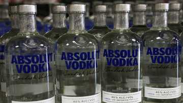 Absolut vodka says halts exports to Russia