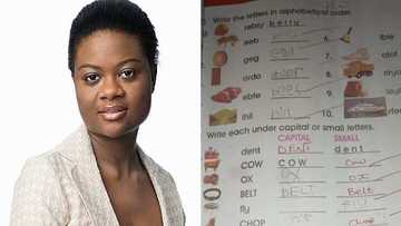 "The teacher is wrong": Photo of little boy's assignment book sparks debate, people react