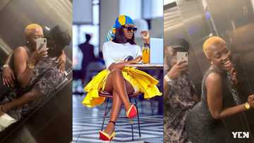 Video of Fella Makafui twerking her heavy tundra for Medikal in an elevator causes stir
