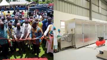 Photos drop as Akufo-Addo commissions GH¢10m yam and cassava processing factory