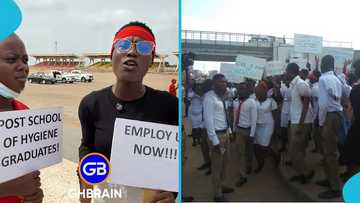 "Employ us now": Environmental Health Officers hit streets over years of joblessness