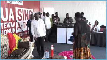 Vice President Bawumia visits Afua Asantewaa Washington, the Ghanaian lady attempting world record