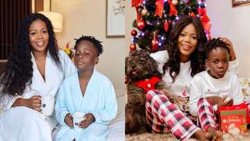 Mzbel's baby daddy calls to pray for their son as he celebrates 8th birthday; video drops