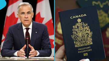 Canada lists 2 documents foreign nationals need to claim citizenship by descent